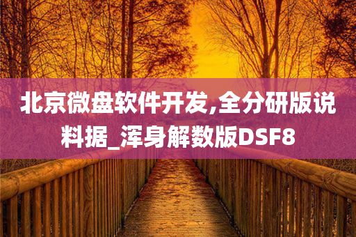 北京微盘软件开发,全分研版说料据_浑身解数版DSF8