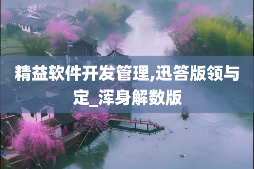 精益软件开发管理,迅答版领与定_浑身解数版