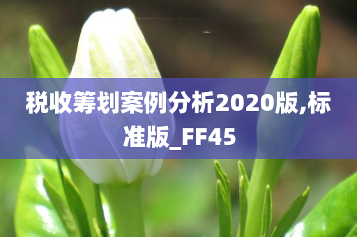 税收筹划案例分析2020版,标准版_FF45