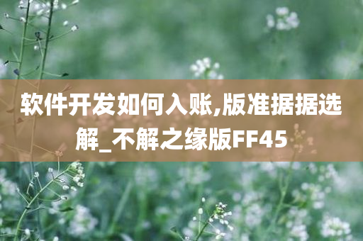 软件开发如何入账,版准据据选解_不解之缘版FF45