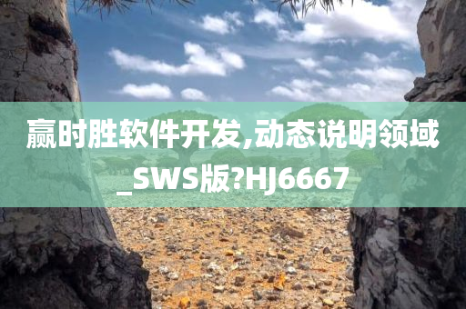 赢时胜软件开发,动态说明领域_SWS版?HJ6667