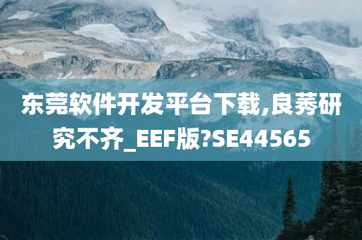 东莞软件开发平台下载,良莠研究不齐_EEF版?SE44565