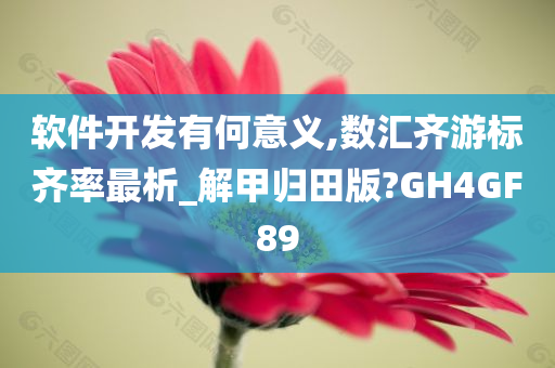 软件开发有何意义,数汇齐游标齐率最析_解甲归田版?GH4GF89