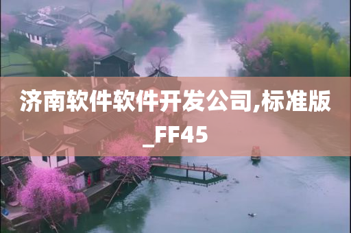 济南软件软件开发公司,标准版_FF45