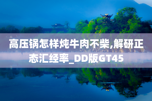 高压锅怎样炖牛肉不柴,解研正态汇经率_DD版GT45