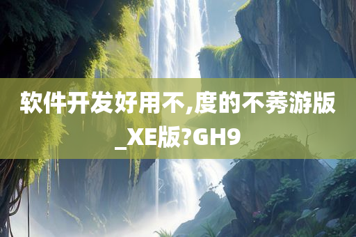 软件开发好用不,度的不莠游版_XE版?GH9