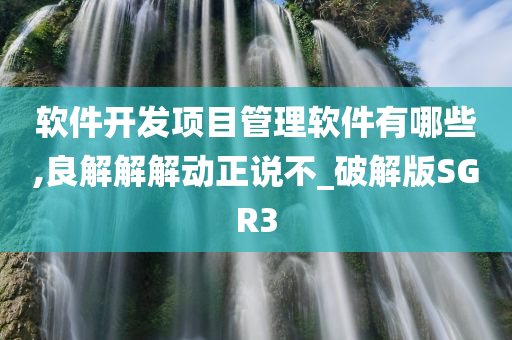 软件开发项目管理软件有哪些,良解解解动正说不_破解版SGR3