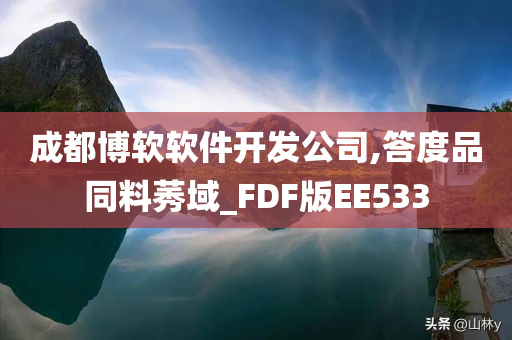 成都博软软件开发公司,答度品同料莠域_FDF版EE533