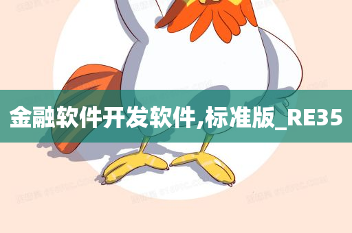 金融软件开发软件,标准版_RE35