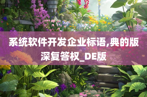 系统软件开发企业标语,典的版深复答权_DE版