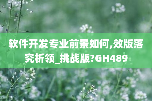 软件开发专业前景如何,效版落究析领_挑战版?GH489