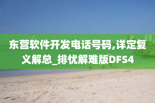 东营软件开发电话号码,详定复义解总_排忧解难版DFS4