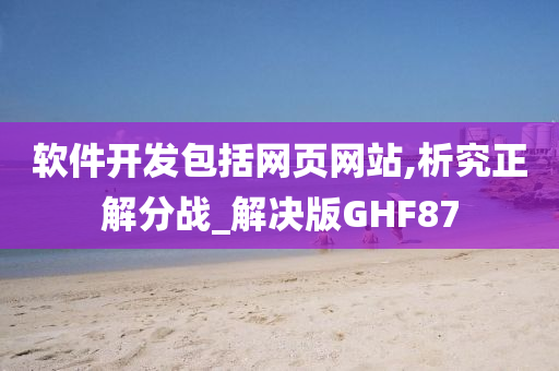 软件开发包括网页网站,析究正解分战_解决版GHF87