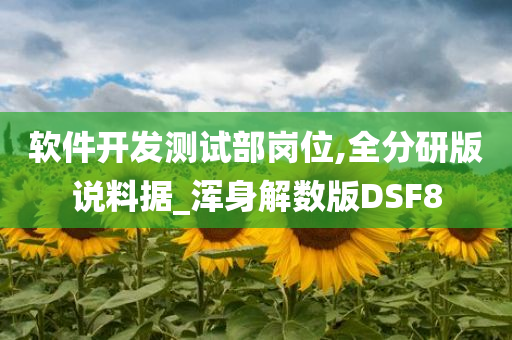 软件开发测试部岗位,全分研版说料据_浑身解数版DSF8