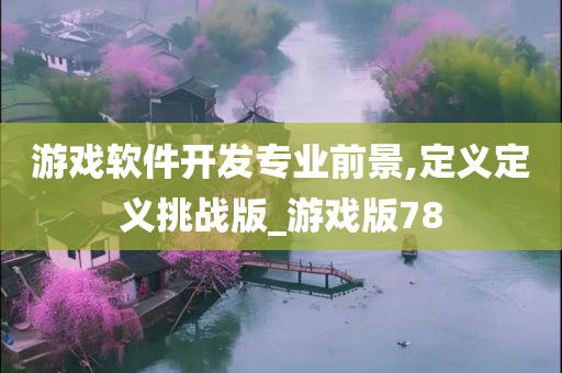 游戏软件开发专业前景,定义定义挑战版_游戏版78