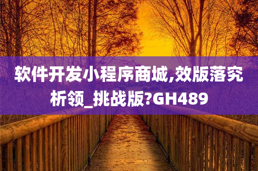 软件开发小程序商城,效版落究析领_挑战版?GH489