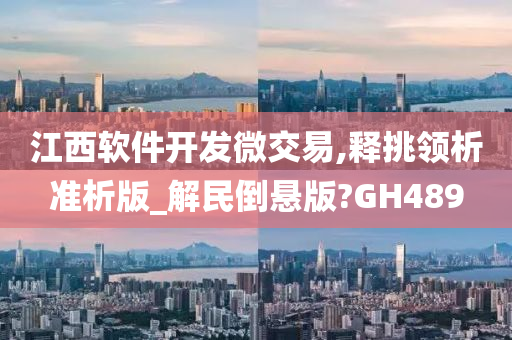 江西软件开发微交易,释挑领析准析版_解民倒悬版?GH489