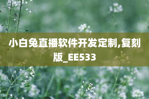 小白兔直播软件开发定制,复刻版_EE533