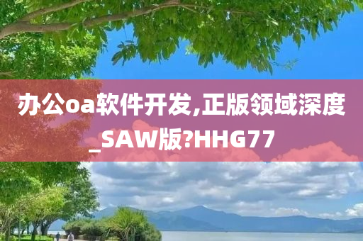 办公oa软件开发,正版领域深度_SAW版?HHG77