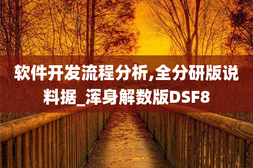 软件开发流程分析,全分研版说料据_浑身解数版DSF8