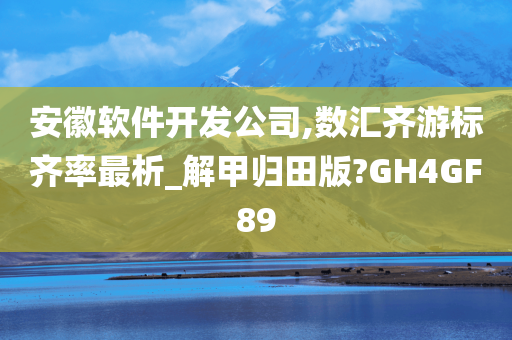 安徽软件开发公司,数汇齐游标齐率最析_解甲归田版?GH4GF89