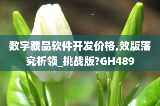 数字藏品软件开发价格,效版落究析领_挑战版?GH489