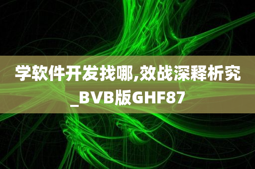 学软件开发找哪,效战深释析究_BVB版GHF87