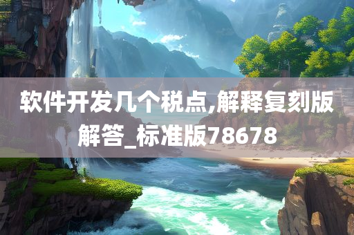 软件开发几个税点,解释复刻版解答_标准版78678