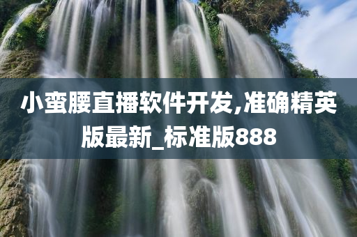 小蛮腰直播软件开发,准确精英版最新_标准版888