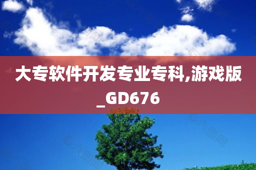 大专软件开发专业专科,游戏版_GD676