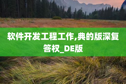 软件开发工程工作,典的版深复答权_DE版