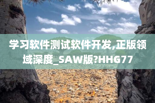 学习软件测试软件开发,正版领域深度_SAW版?HHG77