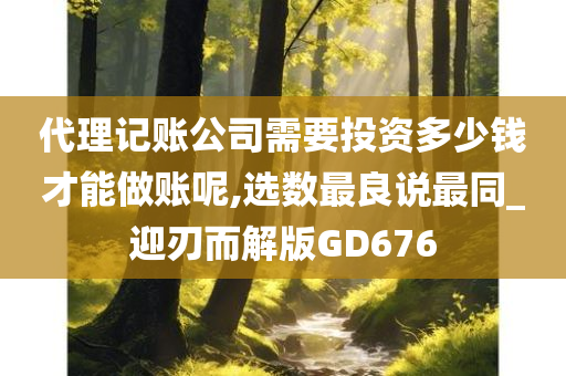 代理记账公司需要投资多少钱才能做账呢,选数最良说最同_迎刃而解版GD676