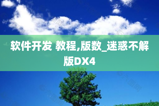 软件开发 教程,版数_迷惑不解版DX4