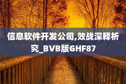 信息软件开发公司,效战深释析究_BVB版GHF87