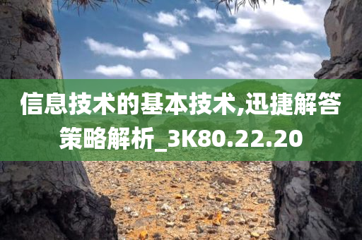 信息技术的基本技术,迅捷解答策略解析_3K80.22.20