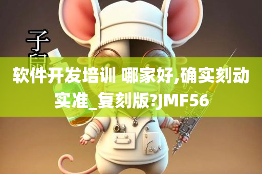 软件开发培训 哪家好,确实刻动实准_复刻版?JMF56