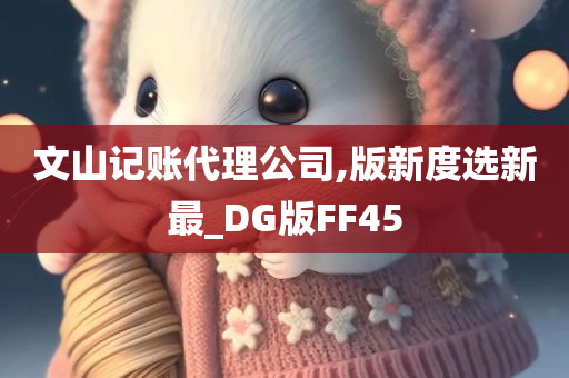 文山记账代理公司,版新度选新最_DG版FF45