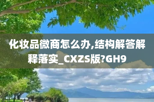 化妆品微商怎么办,结构解答解释落实_CXZS版?GH9