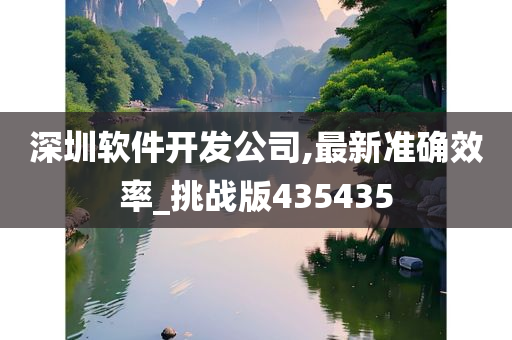 深圳软件开发公司,最新准确效率_挑战版435435