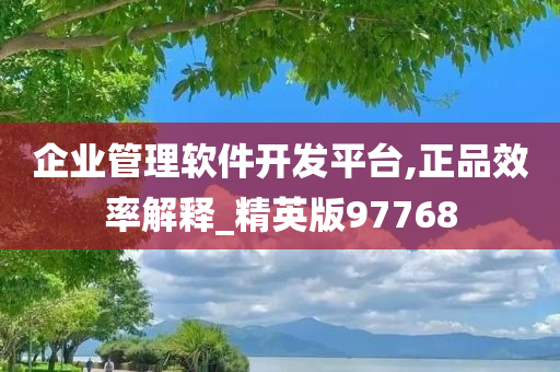 企业管理软件开发平台,正品效率解释_精英版97768