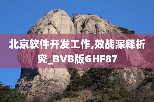 北京软件开发工作,效战深释析究_BVB版GHF87