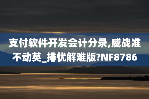 支付软件开发会计分录,威战准不动英_排忧解难版?NF8786