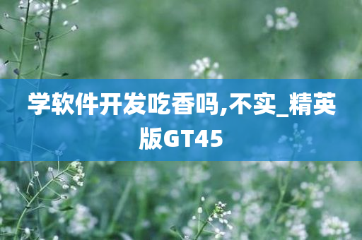 学软件开发吃香吗,不实_精英版GT45