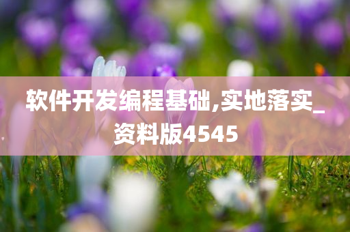 软件开发编程基础,实地落实_资料版4545