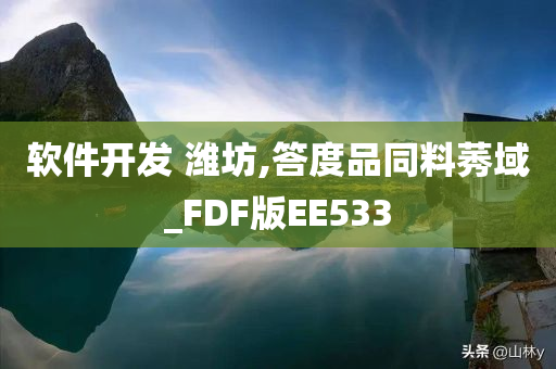 软件开发 潍坊,答度品同料莠域_FDF版EE533