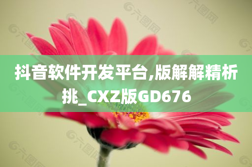 抖音软件开发平台,版解解精析挑_CXZ版GD676