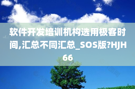 软件开发培训机构选用极客时间,汇总不同汇总_SOS版?HJH66