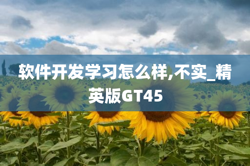 软件开发学习怎么样,不实_精英版GT45