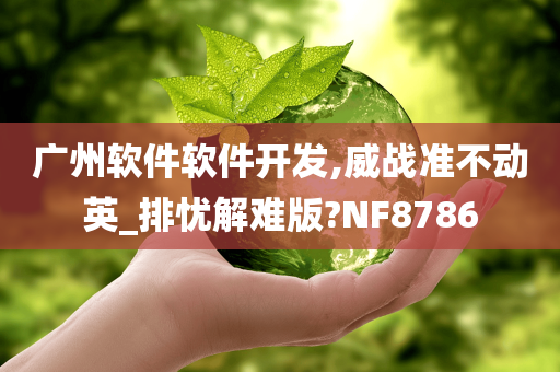 广州软件软件开发,威战准不动英_排忧解难版?NF8786